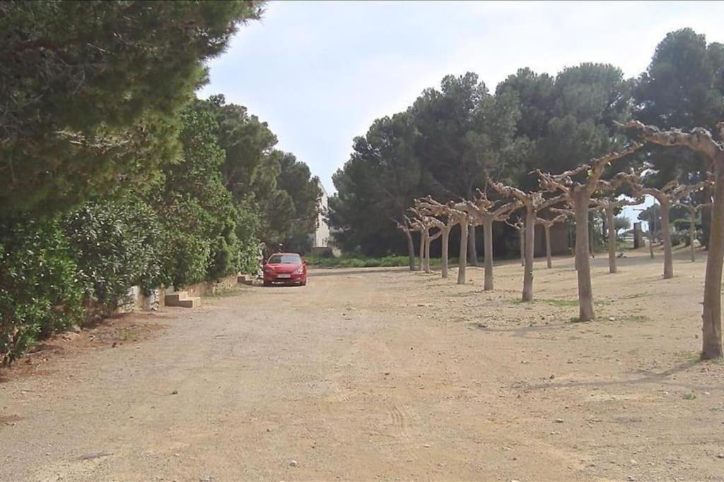 Les Cases Del Vent II Calafat Εξωτερικό φωτογραφία